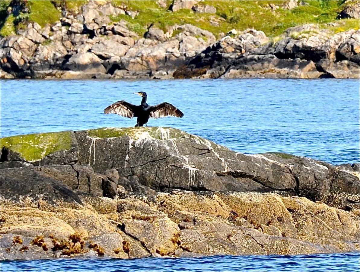 Toftenes Sjohuscamping Alsvag Bagian luar foto
